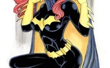 1568452-batgirl_dh_cape